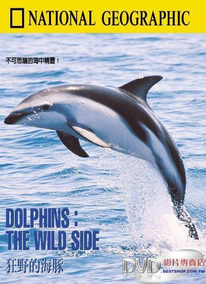 «دلفین ها» Dolphins: The Wild Side