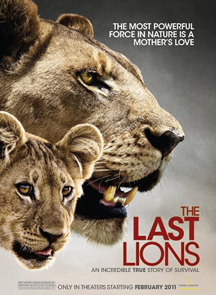 «آخرین شیرها» The Last Lions
