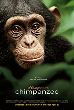 «شامپانزه ها» Chimpanzee