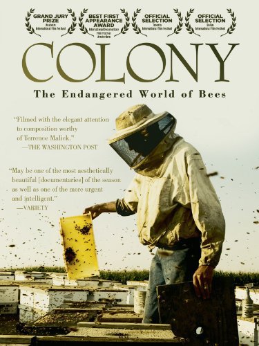 «کلونی» Colony