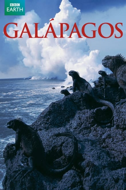 «گالا پاکوس» Galapagos