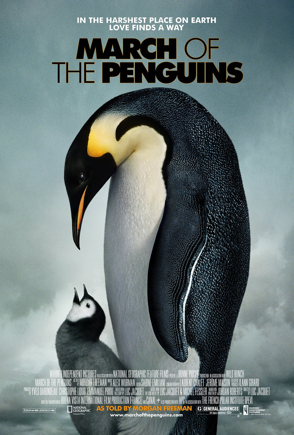 «پنگوئن ها،سلطان پیاده روی» March of the Penguins