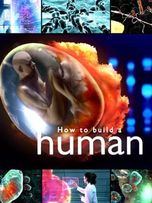 «چگونه یک انسان بسازیم»  How to Build a Human