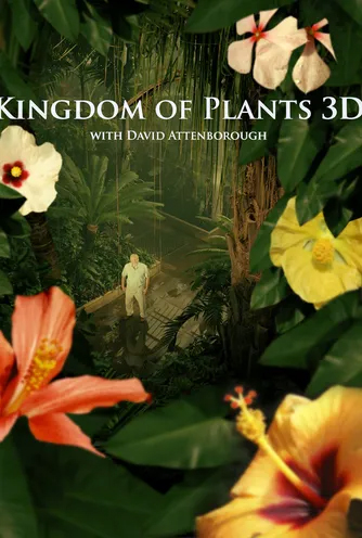 سریال «در قلمرو گیاهان» Kingdom of Plants